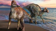 淡路島で見つかった恐竜の化石が新種「ヤマトサウルス」と判明…17年前に発見なぜ今? 研究者に聞いた