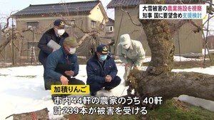 新田知事が大雪被害の農業施設を視察 「復旧に向けた支援を検討」