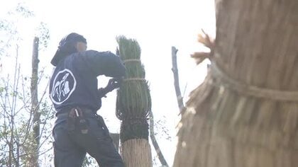 春を告げる風物詩　縮景園でソテツのこも外し　広島