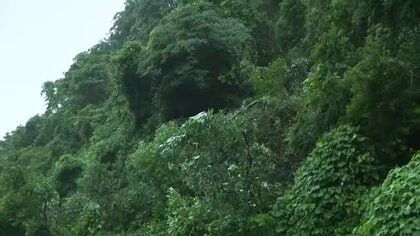 タイヤに電柱を支えるワイヤーが絡まり…軽トラックが横転し助手席の男性が死亡　台風との関連を調査