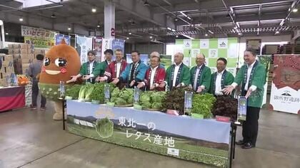 「奥中山高原レタス」をＰＲ　出荷量と販売額“東北一”　岩手県一戸町