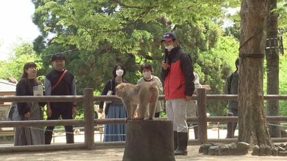 スマホでサルの名前や特徴を覚え…迎えたデビューの日　“高崎山の新人ガイド”奮闘記　【大分発】