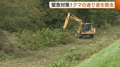 【クマ】川沿い通り住宅街へ…河川敷整備で“クマの通り道”除去 例年の3倍以上の目撃情報に新潟・関川村が緊急対策「効果を期待」