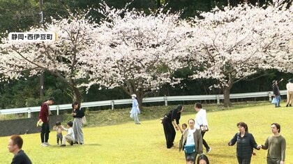 千葉・茂原市で25.9度　4月最初の日曜日は初夏の陽気に　各地で春のイベント