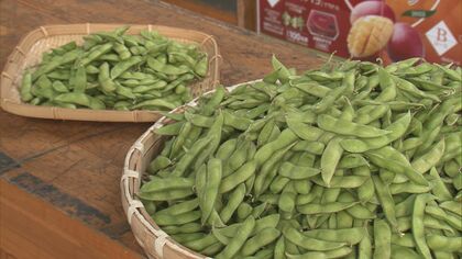 価格も平年並み…2022年の「枝豆」は濃い味でおいしい　早い梅雨明けも功奏す【新潟発】