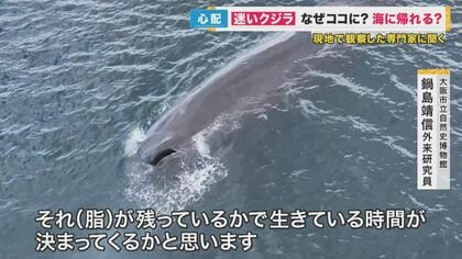 img_de70a049ddadc59e1ea1d53104