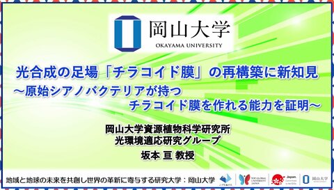 【岡山大学】光合成の足場「チラコイド膜」の再構築に新知見~原始シアノバクテリアが持つチラコイド膜を作れる能力を証明~