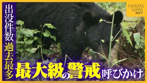 「クマをなぜ殺す」「山に帰せたのでは」“出没件数”過去最多の新潟　“最大級の警戒”呼びかけも駆除後に問い合わせや批判の電話