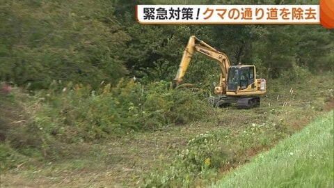 【クマ】川沿い通り住宅街へ…河川敷整備で“クマの通り道”除去 例年の3倍以上の目撃情報に新潟・関川村が緊急対策「効果を期待」