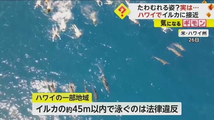 (画像:HAWAII DLNR)