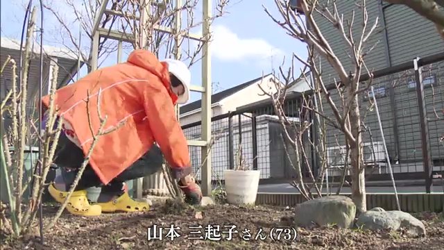 会津若松市で13回目の春を迎える山本三起子さん(73)