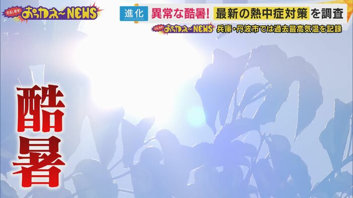 連日続く酷暑
