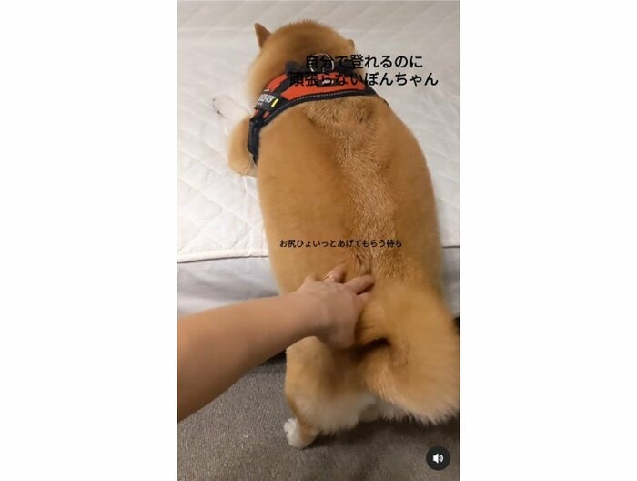 提供:natsumi.nnnさん