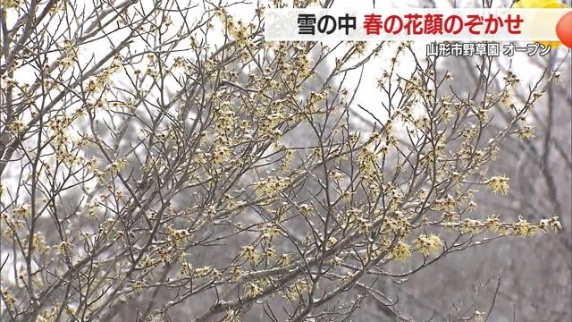 これから続々と花々が開花。春の景色を楽しみに訪れてみては