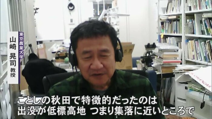2023年のクマの動きを分析