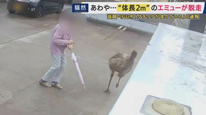 人に近づく様子も