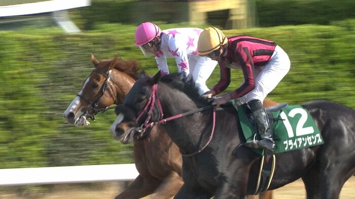 マーチSを制したブライアンセンス