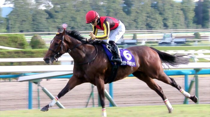 3冠女王に輝いたリバティアイランド