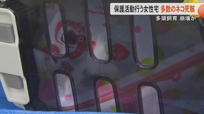 救助されたネコのケージからは泣き声も