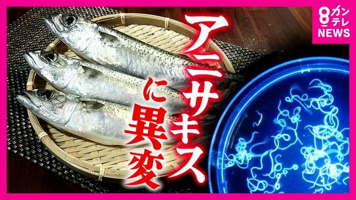 アニサキスに異変