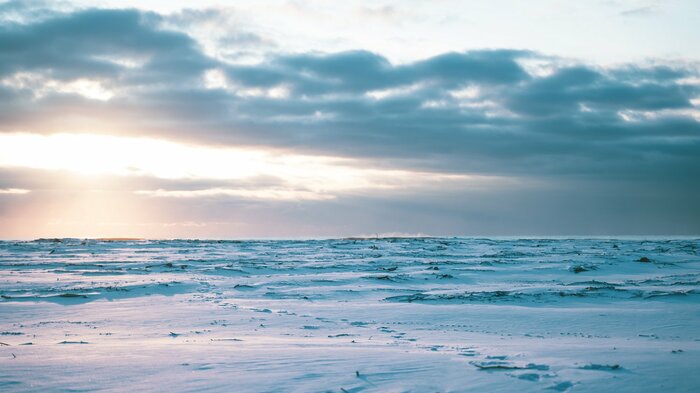 北海道を全身で感じられるサウナかもしれない