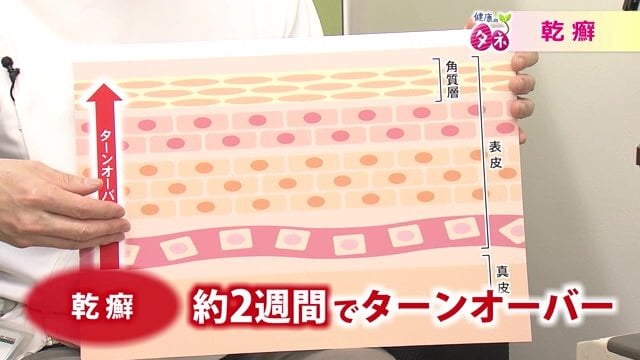 3層構造になっている皮膚