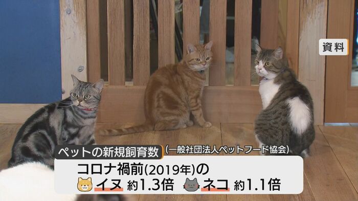 ペットの飼育数は増加傾向