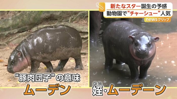 叔母の“豚肉団子”と姪の“チャーシュー”