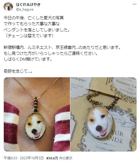 実際の投稿