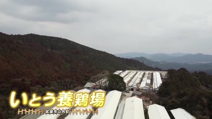 武雄市山内町、標高およそ350メートルの山あいにあるいとう養鶏場