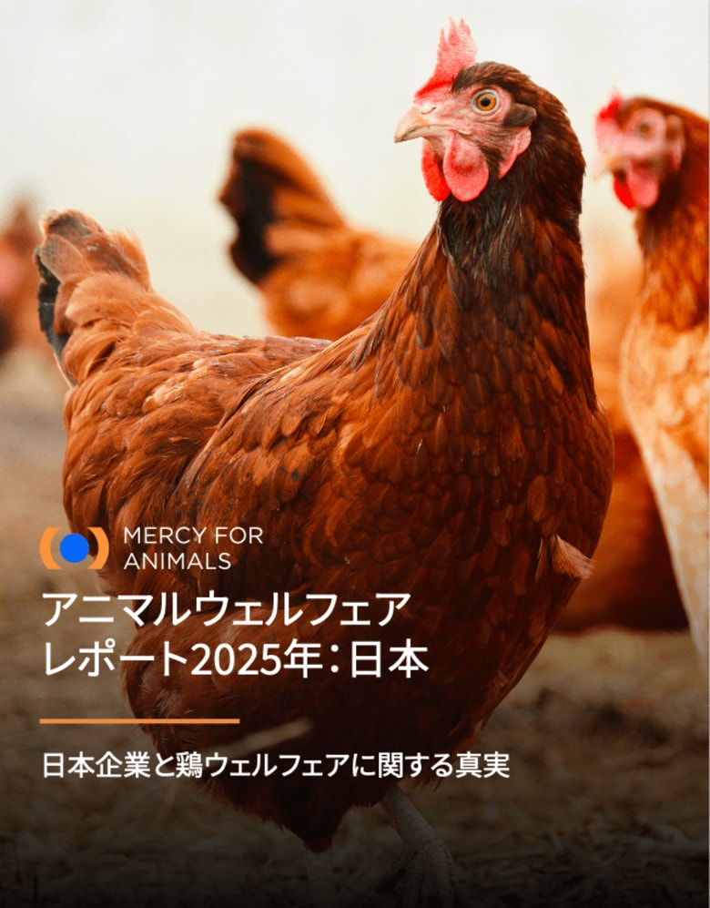 ケージフリーレポート、日本の食品業界に改善の余地を指摘