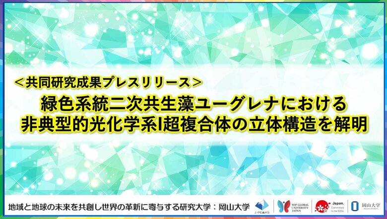 緑色系統二次共生藻ユーグレナにおける非典型的光化学系I超複合体の立体構造を解明〔静岡大学, 岡山大学, 北海道大学〕