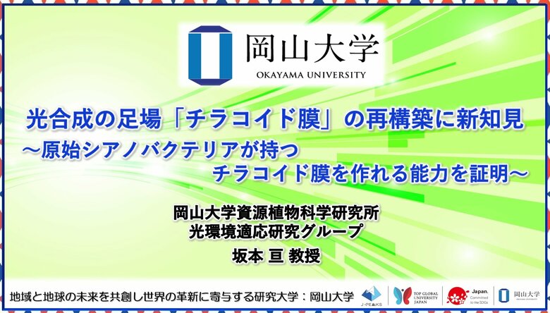 【岡山大学】光合成の足場「チラコイド膜」の再構築に新知見~原始シアノバクテリアが持つチラコイド膜を作れる能力を証明~