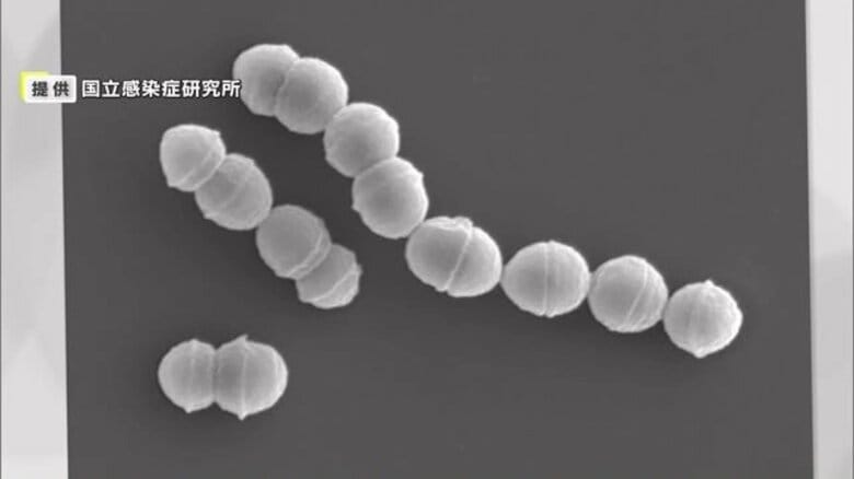 「溶連菌」の感染が止まらない…患者が過去10年で最多　大人も要注意！手足の壊死・多臓器不全　死に至るケースも｜FNNプライムオンライン