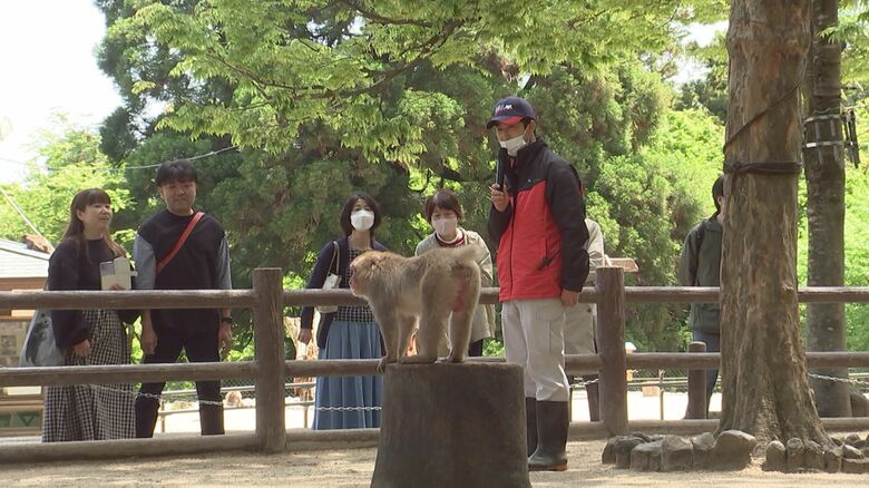 スマホでサルの名前や特徴を覚え…迎えたデビューの日　“高崎山の新人ガイド”奮闘記　【大分発】｜FNNプライムオンライン