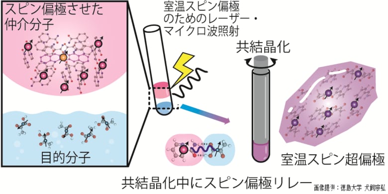 【徳島大学】室温・光駆動で生み出したスピンの偏りをがん代謝MRI診断薬分子「ピルビン酸」へリレーすることに成功～分子が数秒で組み上がる現象を利用し、次世代高感度MRI の実現へ前進～