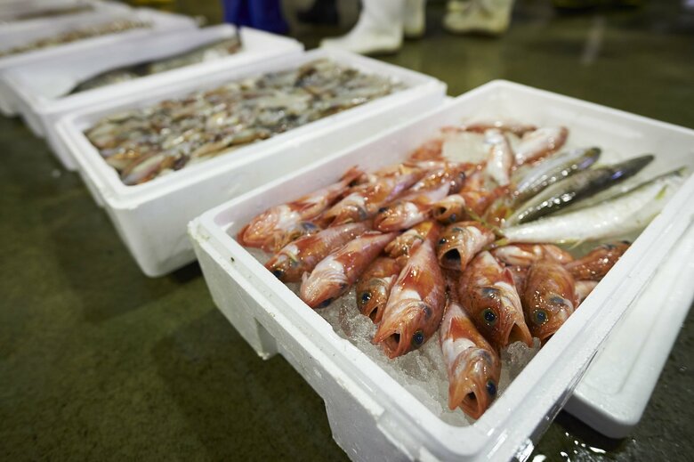 9月の中国向け魚介類の輸出額　前年同月比99.3％減少　財務省｜FNNプライムオンライン