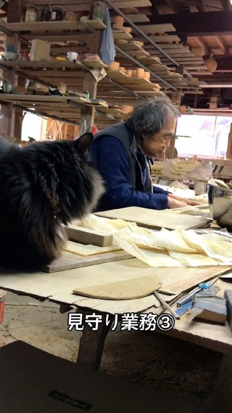 お父さんを厳しくも優しく見守っている