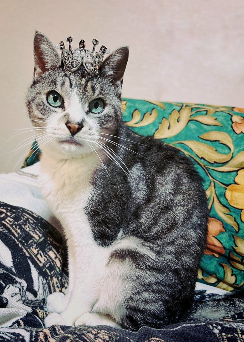 シャケくん（提供：サユヤスさん）