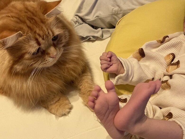 娘さんを見つめるちくわちゃん