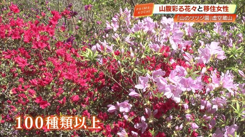 100種類以上が植えられており、色合いがどんどん移り変わっていく