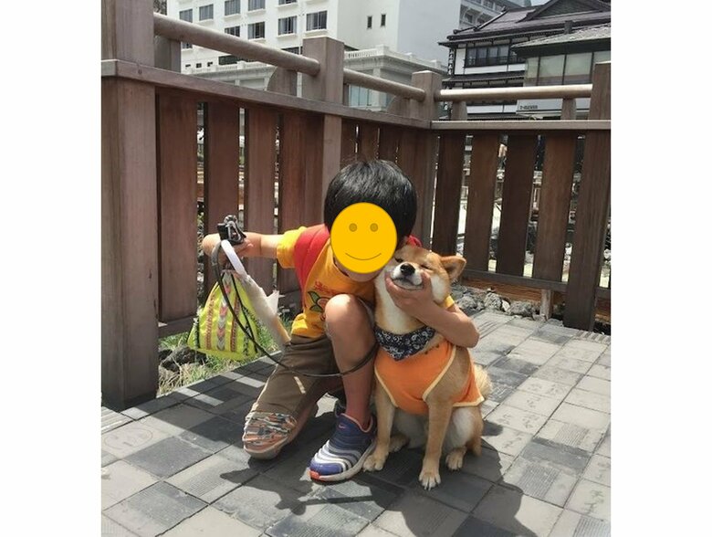 提供：柴犬スティーブch【コーギーと猫を添えて】さん