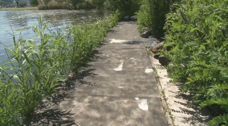 釣り用台座
