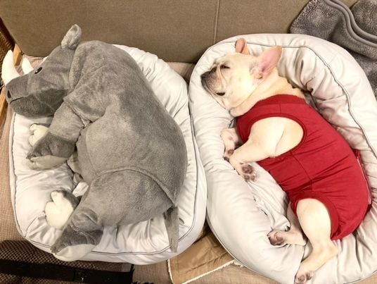 提供：むぎさん