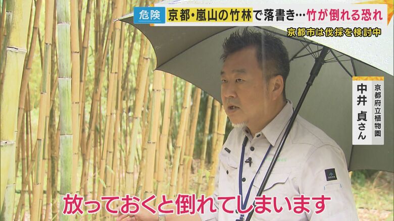 京都府立植物園 樹木医・中井貞さん