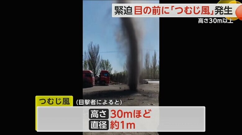 （スペクター・コミュニケーションズ）