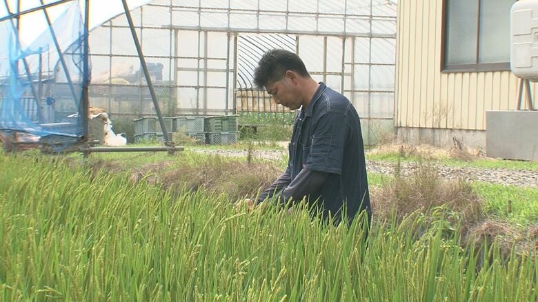 喜びの一方不安も…