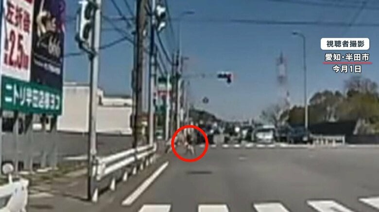 車道に向かって飛び出した子供