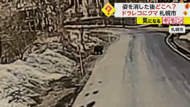 ドライブレコーダーに映るクマの姿（視聴者撮影）