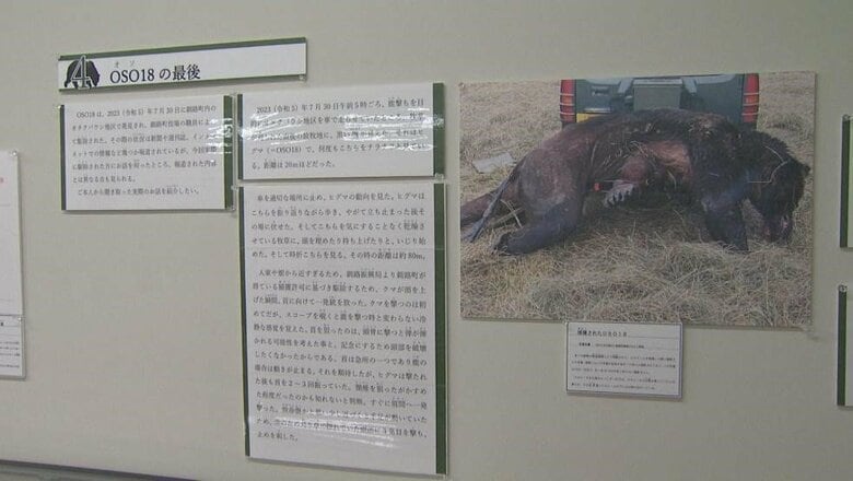 怪物OSO18を仕留めたハンターの手記